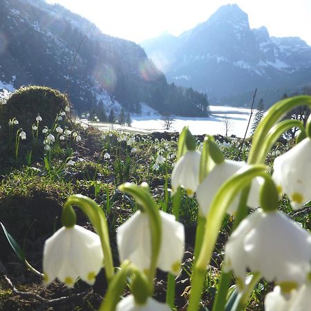Berghotel Obersee Näfels Exteriér fotografie