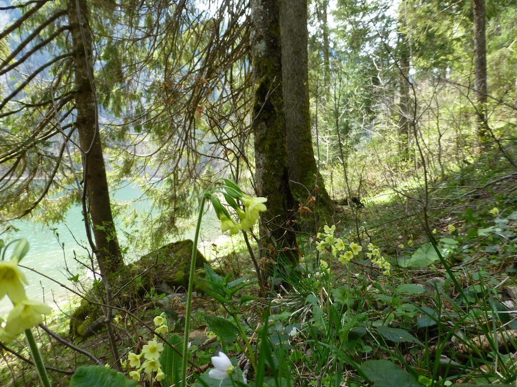 Berghotel Obersee Näfels Exteriér fotografie