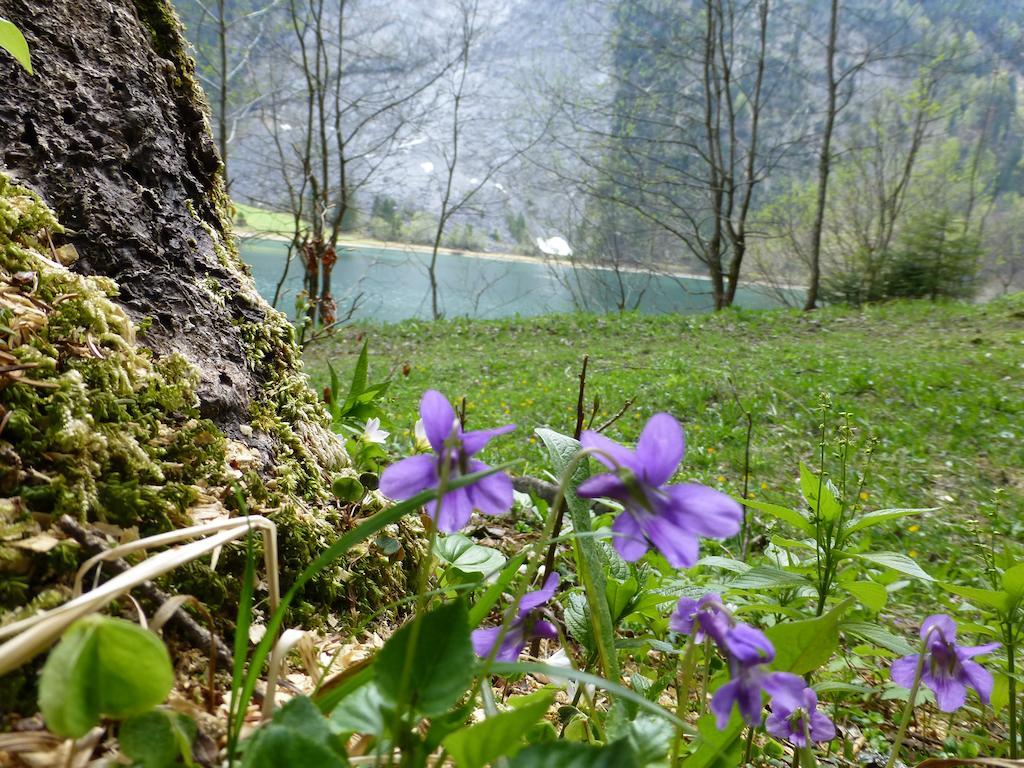 Berghotel Obersee Näfels Exteriér fotografie