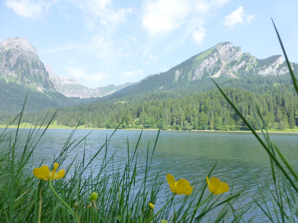 Berghotel Obersee Näfels Exteriér fotografie